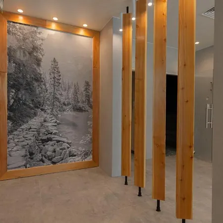Апартаменты Vacationclub - Zakopianskie 345 Закопане